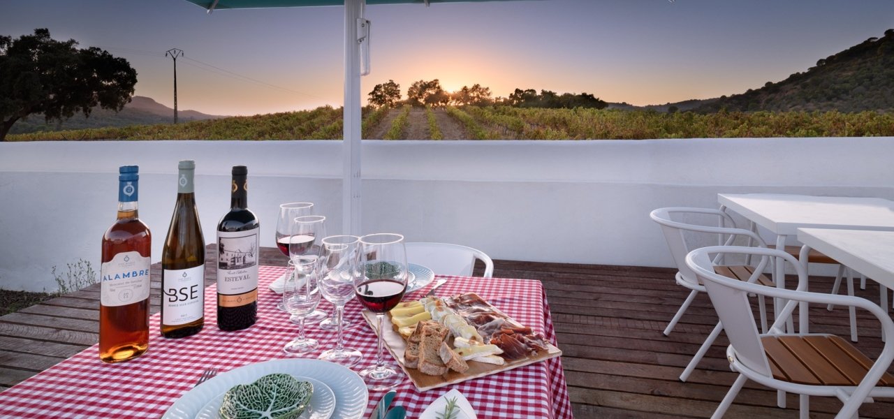 Aperitive on Terrace at Sunset - Wine Paths